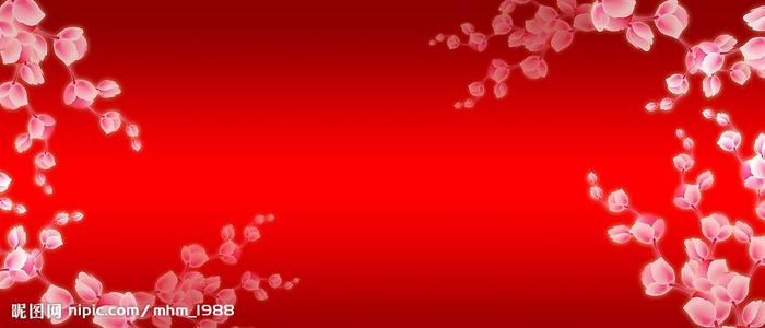 萨尼奥大学物理学文凭证书